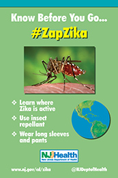 Zika Poster small